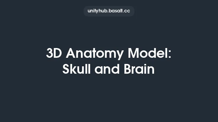 3D Anatomy Model: Skull and Brain Thumbnail