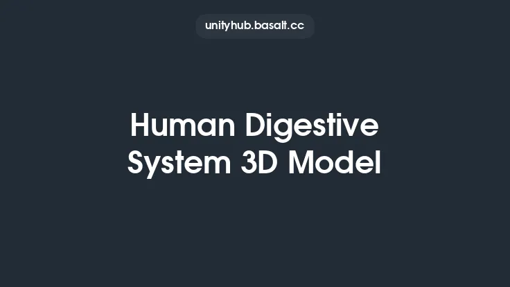 Human Digestive System 3D Model Thumbnail