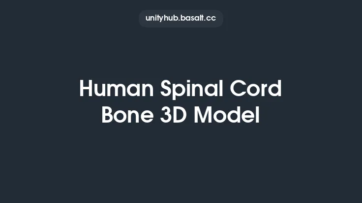 Human Spinal Cord Bone 3D Model Thumbnail
